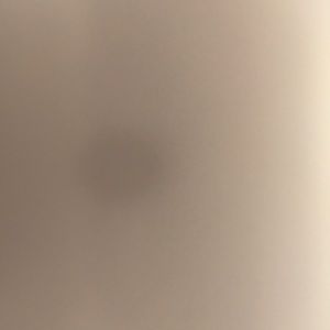 Meet your Posher, Tracey